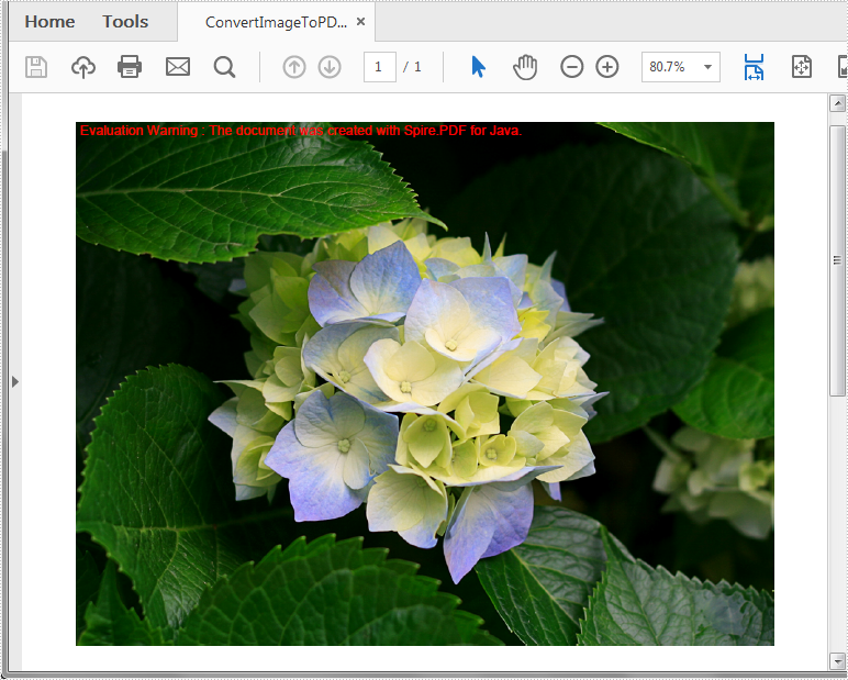 如何用Java語言將圖像轉換為PDF？Spire.PDF for Java輕松搞定！