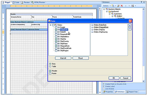 Stimulsoft reporting，Business Objects，智能報表，報表設計器，商業對象，實體模型